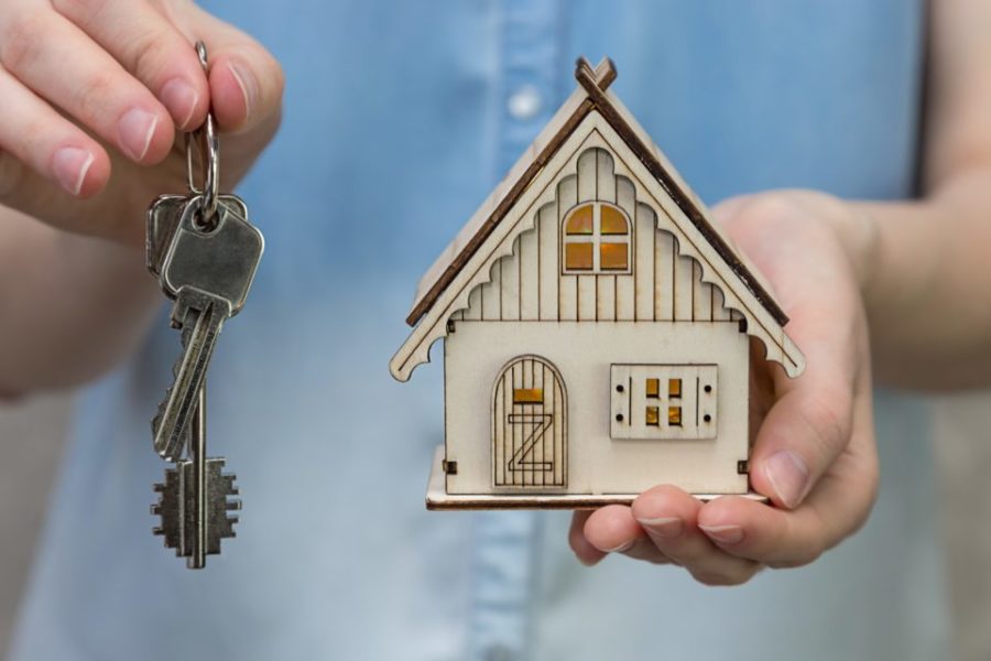 chasseur immobilier