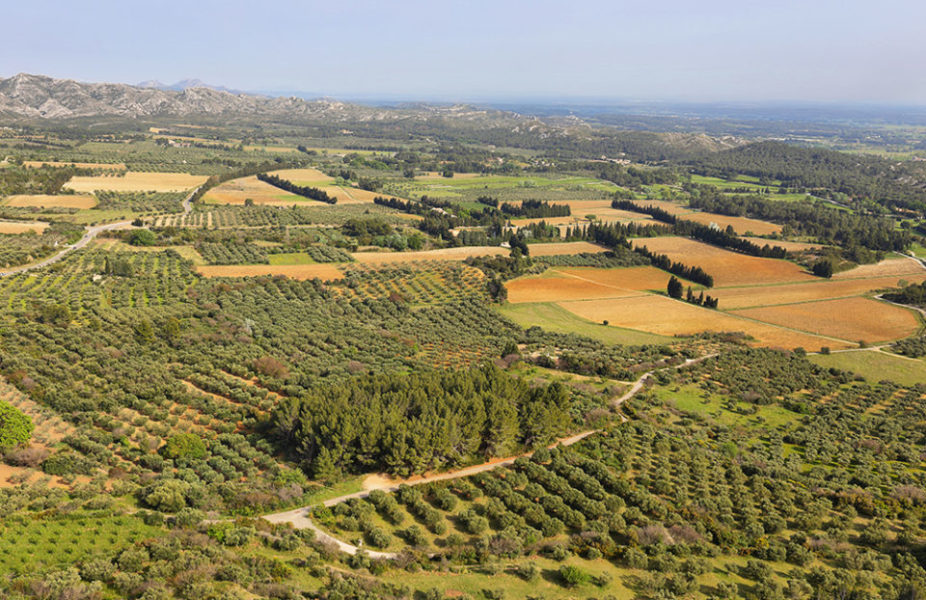 investissement Alpilles