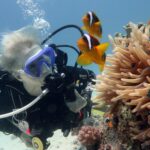 Plongée sous-marine : les meilleurs spots pas chers en 2023 pour faire des économies en vacances